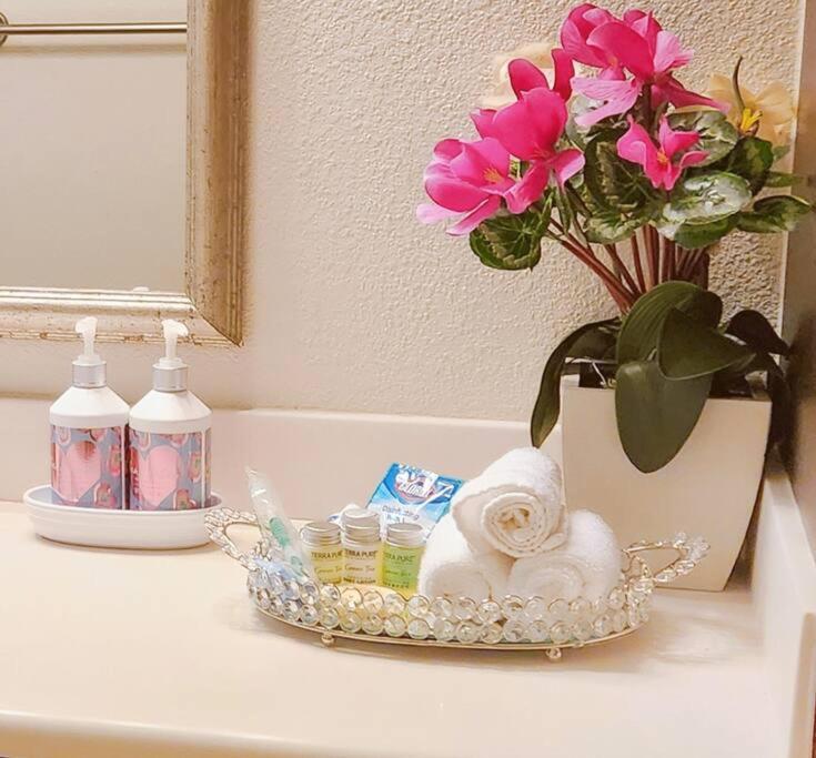 Felt Apartment- Med Center/nrg Apartment *