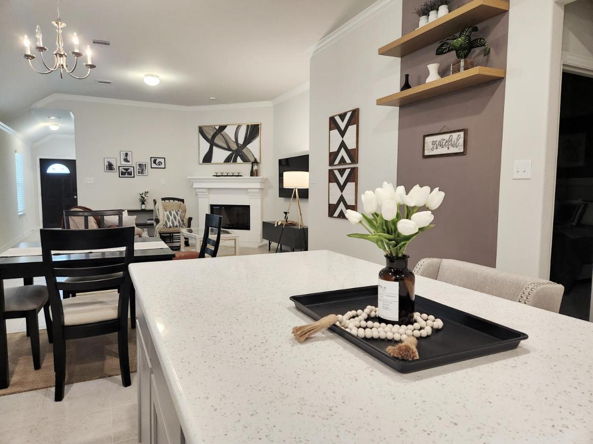 Anderson Lake By Ion Near Downtown Med Center Nrg Stadium Beltway 8 *