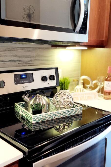 Luxury Living Downtown Kingbed. Apartment