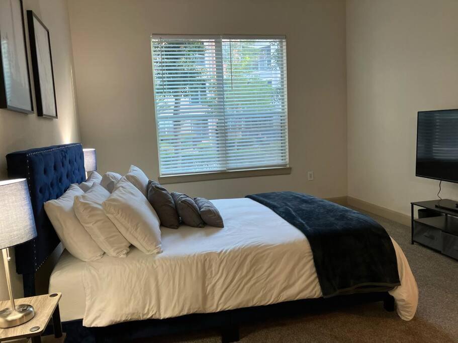 Lux 2/2 With Amenities Houston