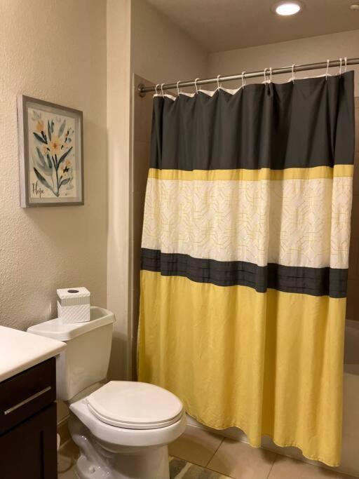 Lux 2/2 With Amenities Apartment Houston