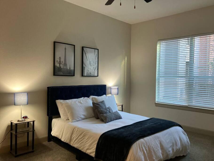 Apartment Lux 2/2 With Amenities *