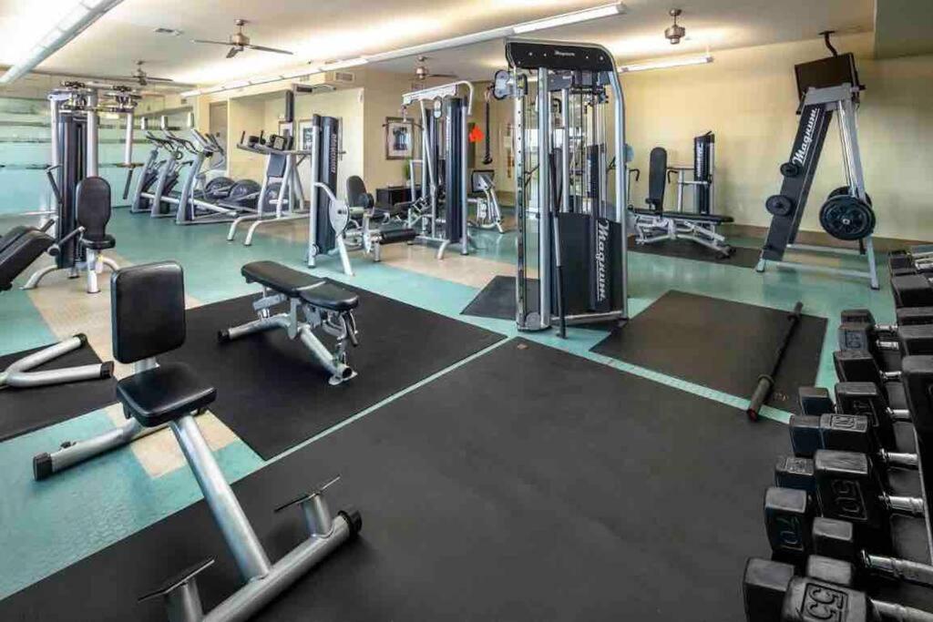 Apartment Lux 2/2 With Amenities Houston