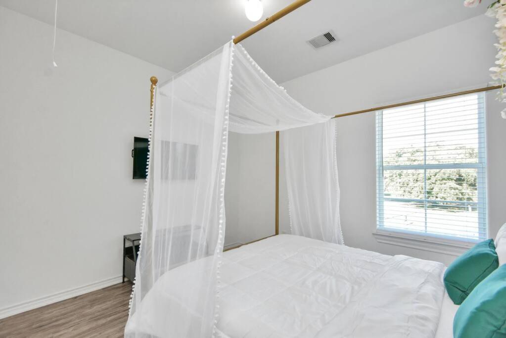 The Garden Apartment *
