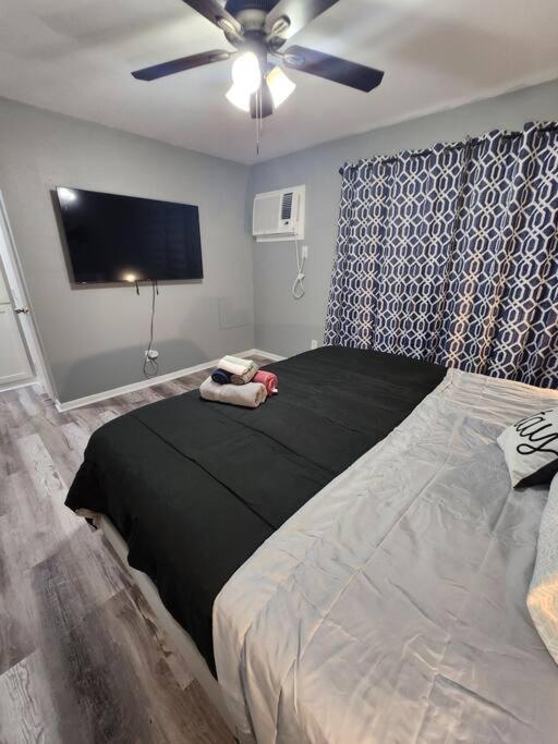 Blue Shark *b2* @ Bellaire 1br King Near Medical Center Apartment Houston