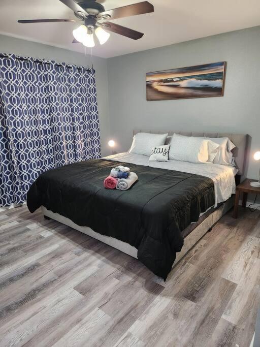 Apartment Blue Shark *b2* @ Bellaire 1br King Near Medical Center Houston