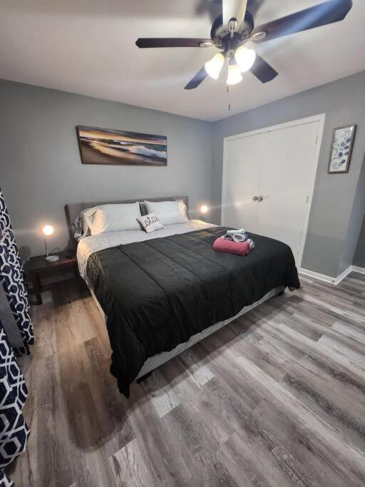 Apartment Blue Shark *b2* @ Bellaire 1br King Near Medical Center Houston