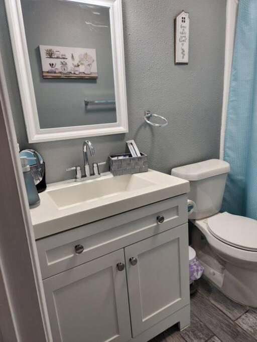 Blue Shark *b2* @ Bellaire 1br King Near Medical Center Apartment *