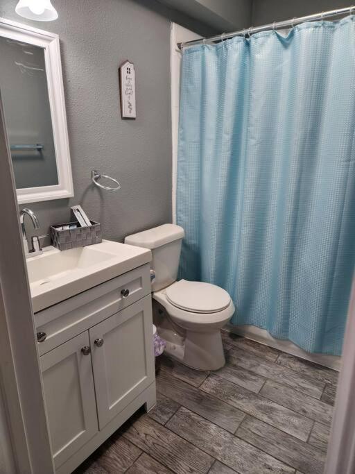 Apartment Blue Shark *b2* @ Bellaire 1br King Near Medical Center