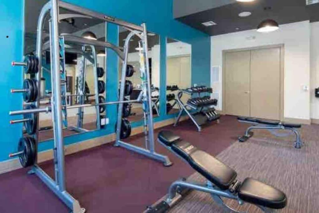 Fancy Downtown With Pool Gym Lounge Pet Ok Apartment