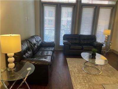 Gorgeous Furnished Near Texas Medical Center & Nrg Stadium Apartment