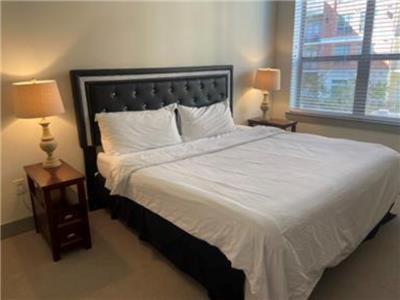 Gorgeous Furnished Near Texas Medical Center & Nrg Stadium *