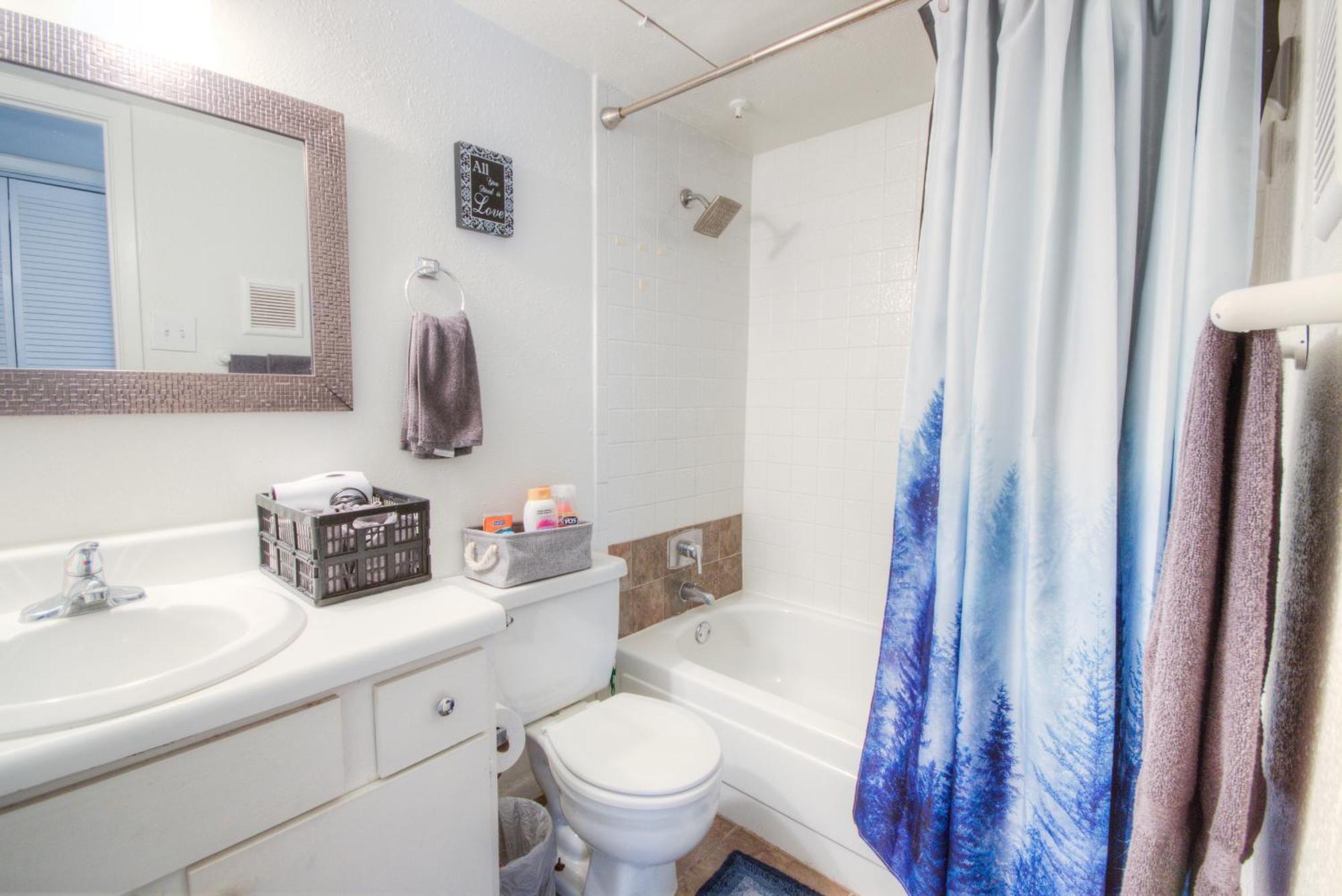Spacious 3br, 2ba Near Medcenter & Nrg Apartment