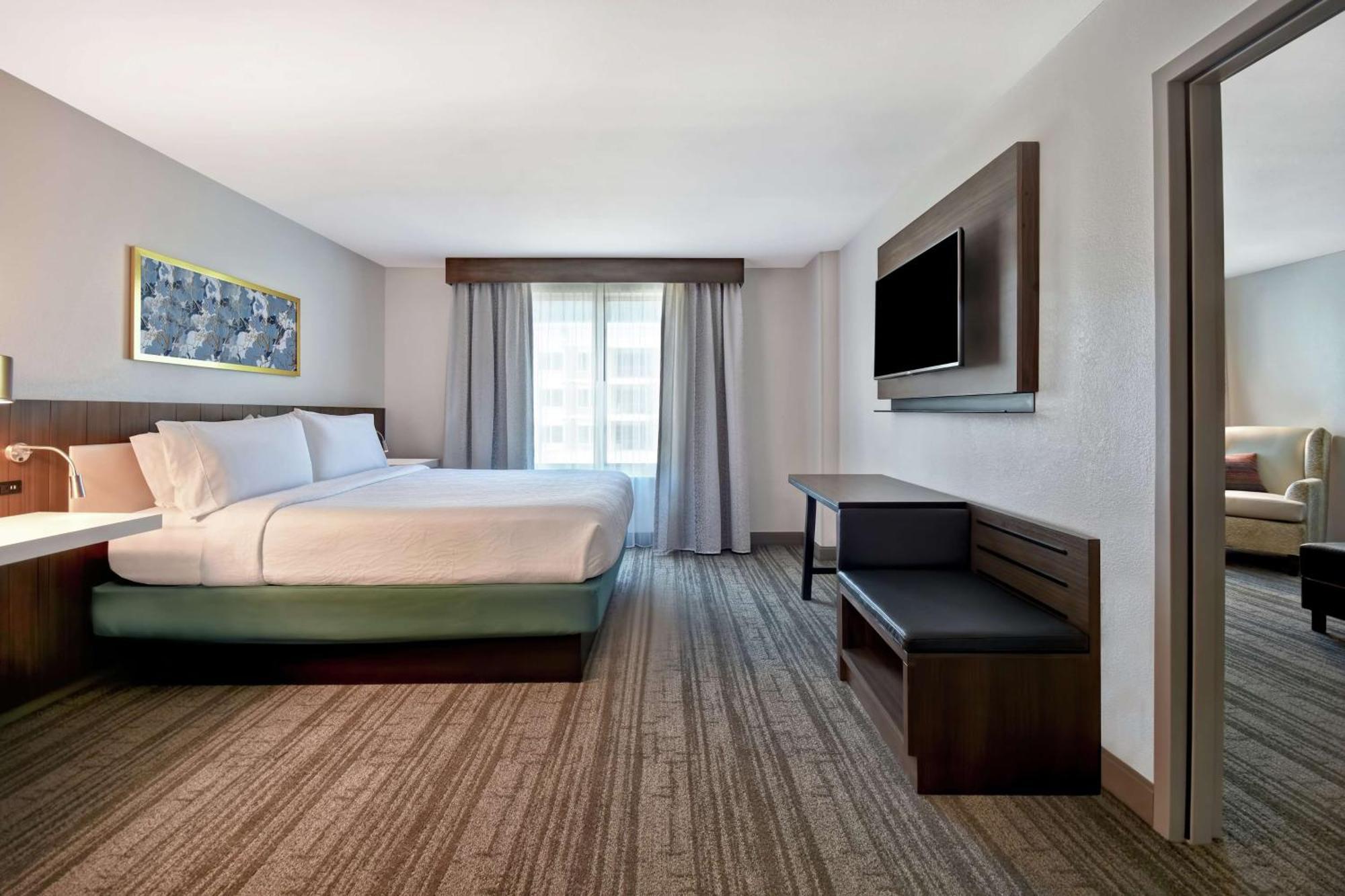 Hilton Garden Houston/galleria Area Houston