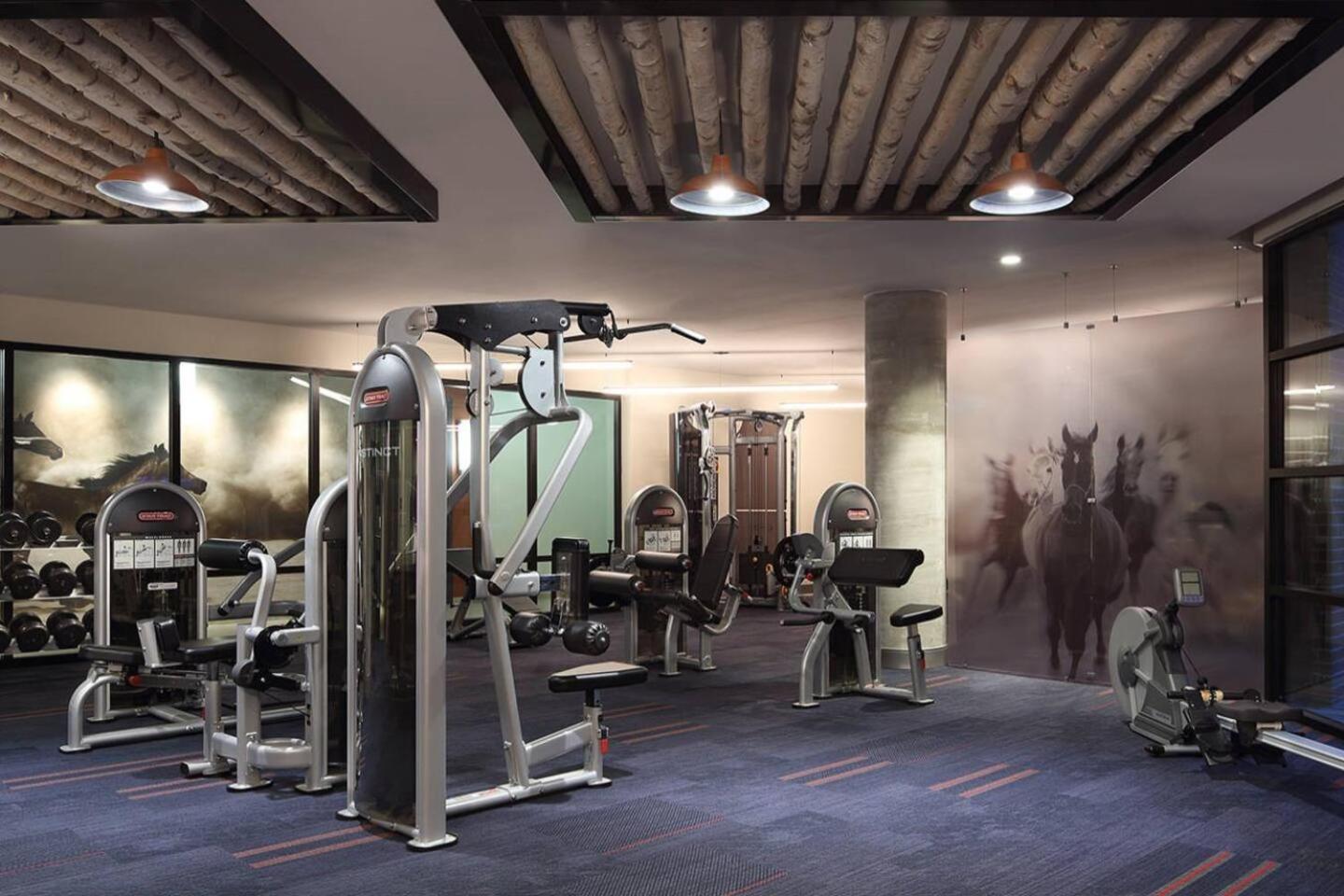 Apartment Modern And Comfy In Post Oak Galleria Houston