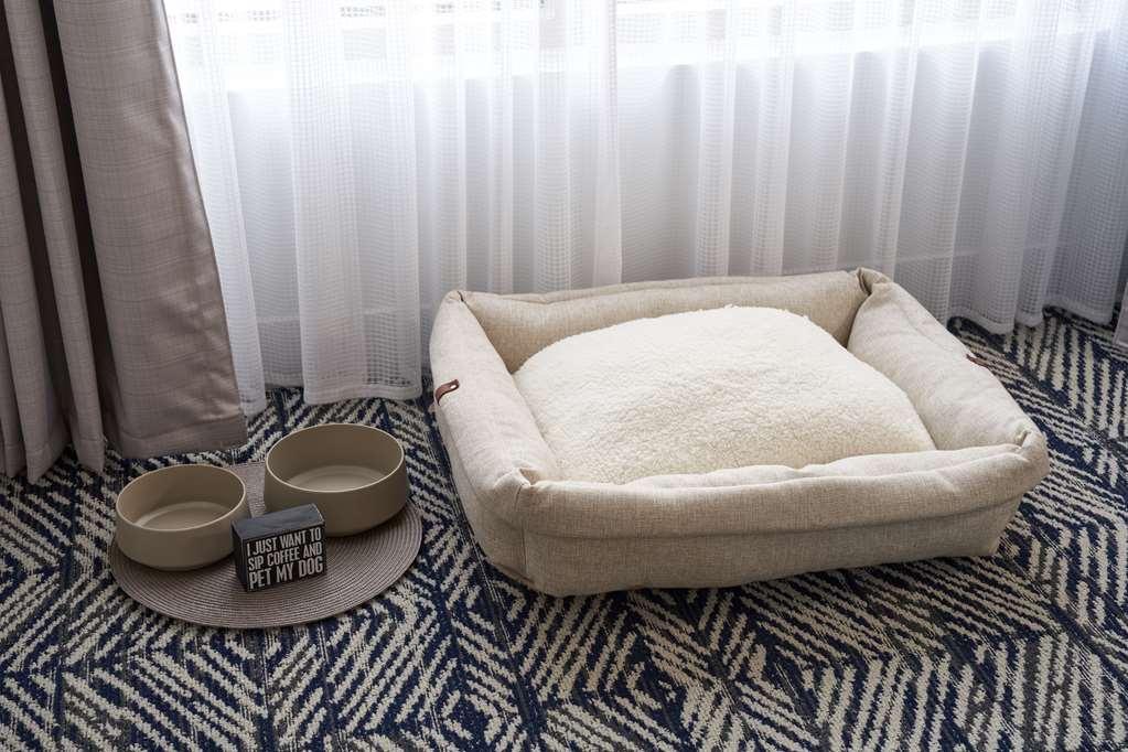 The Chifley Tapestry Collection By Hilton Hotel