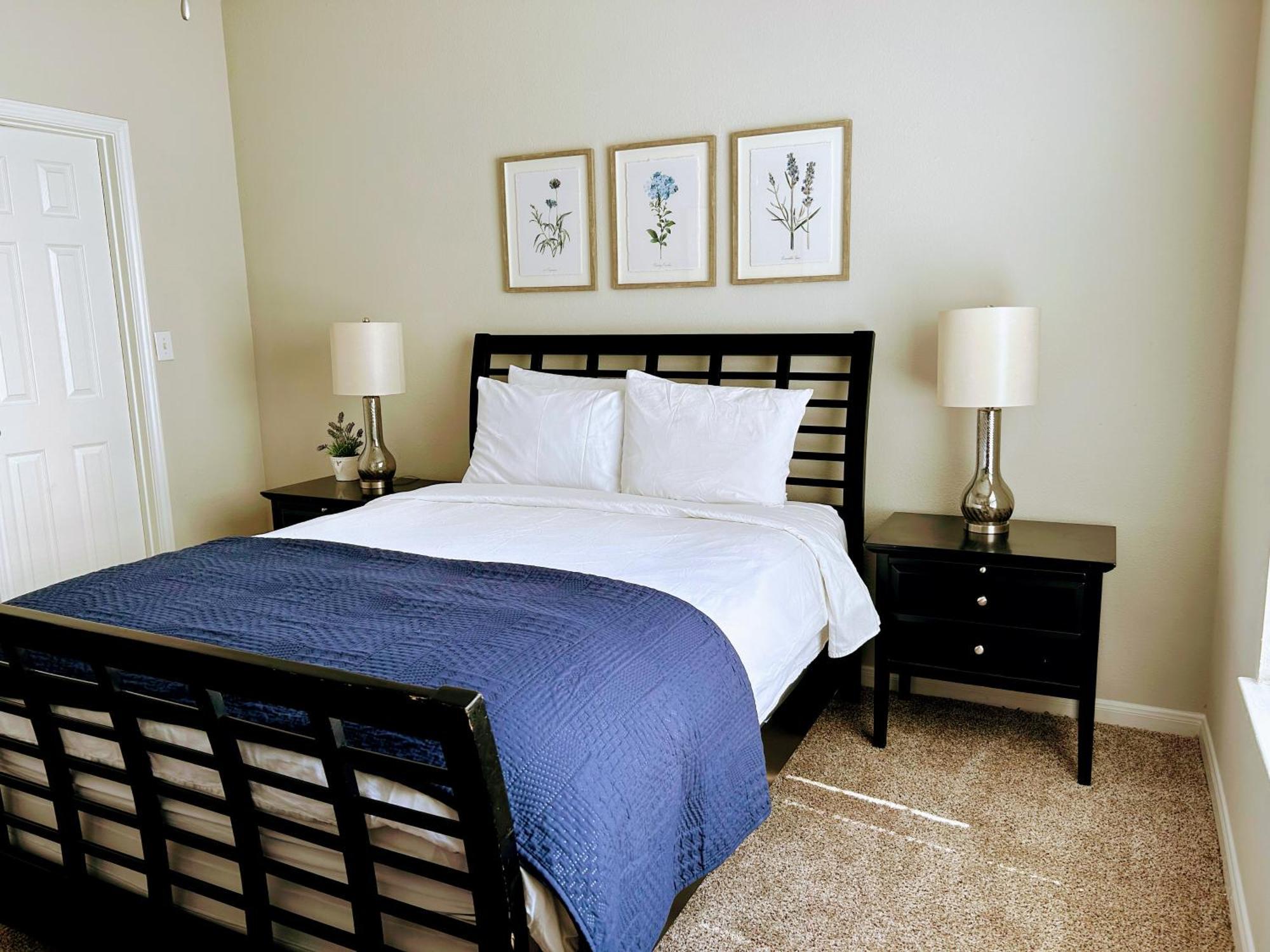 Hidden Gem At Med Center 2br & 2ba Houston