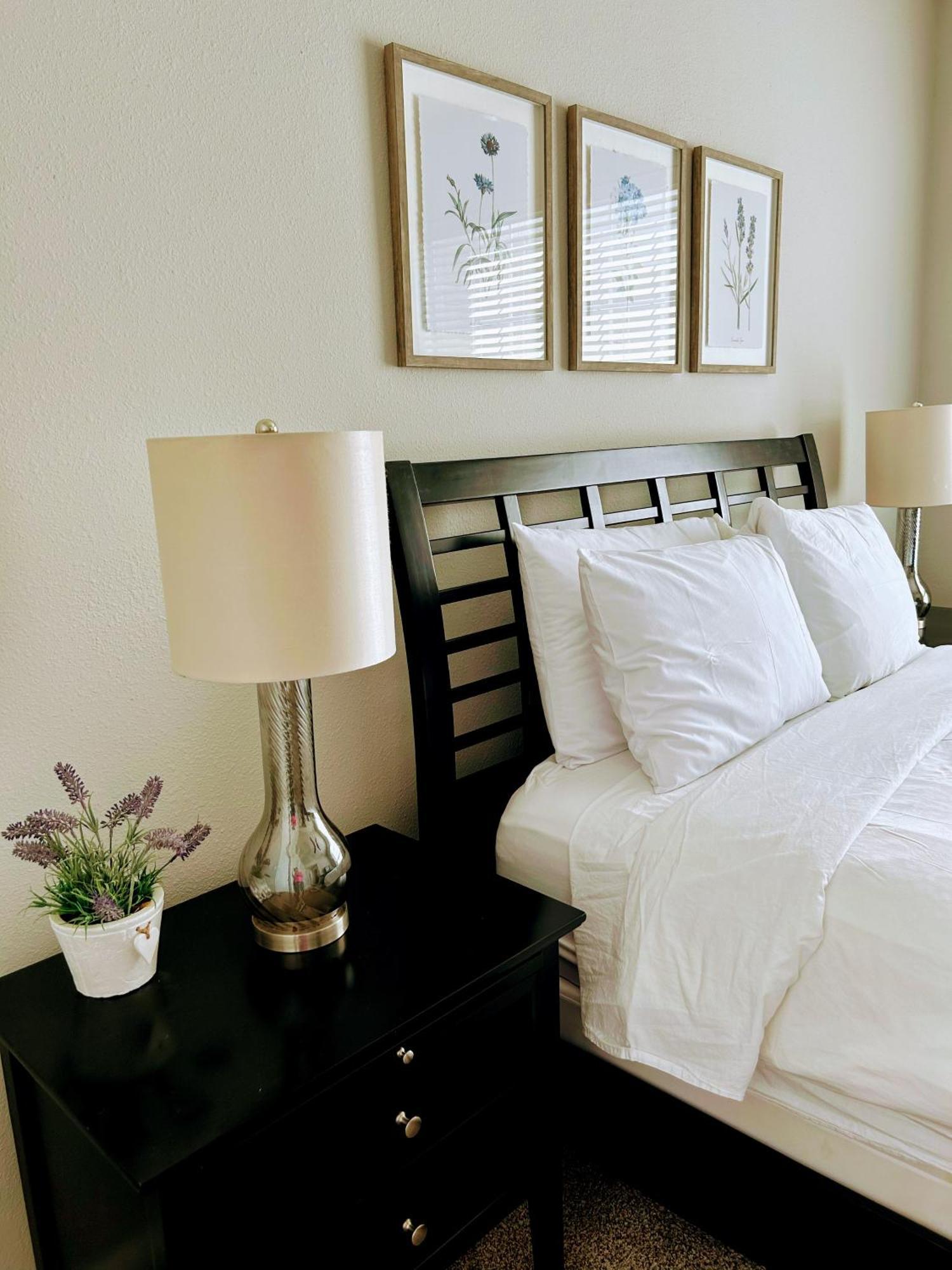 Hidden Gem At Med Center 2br & 2ba