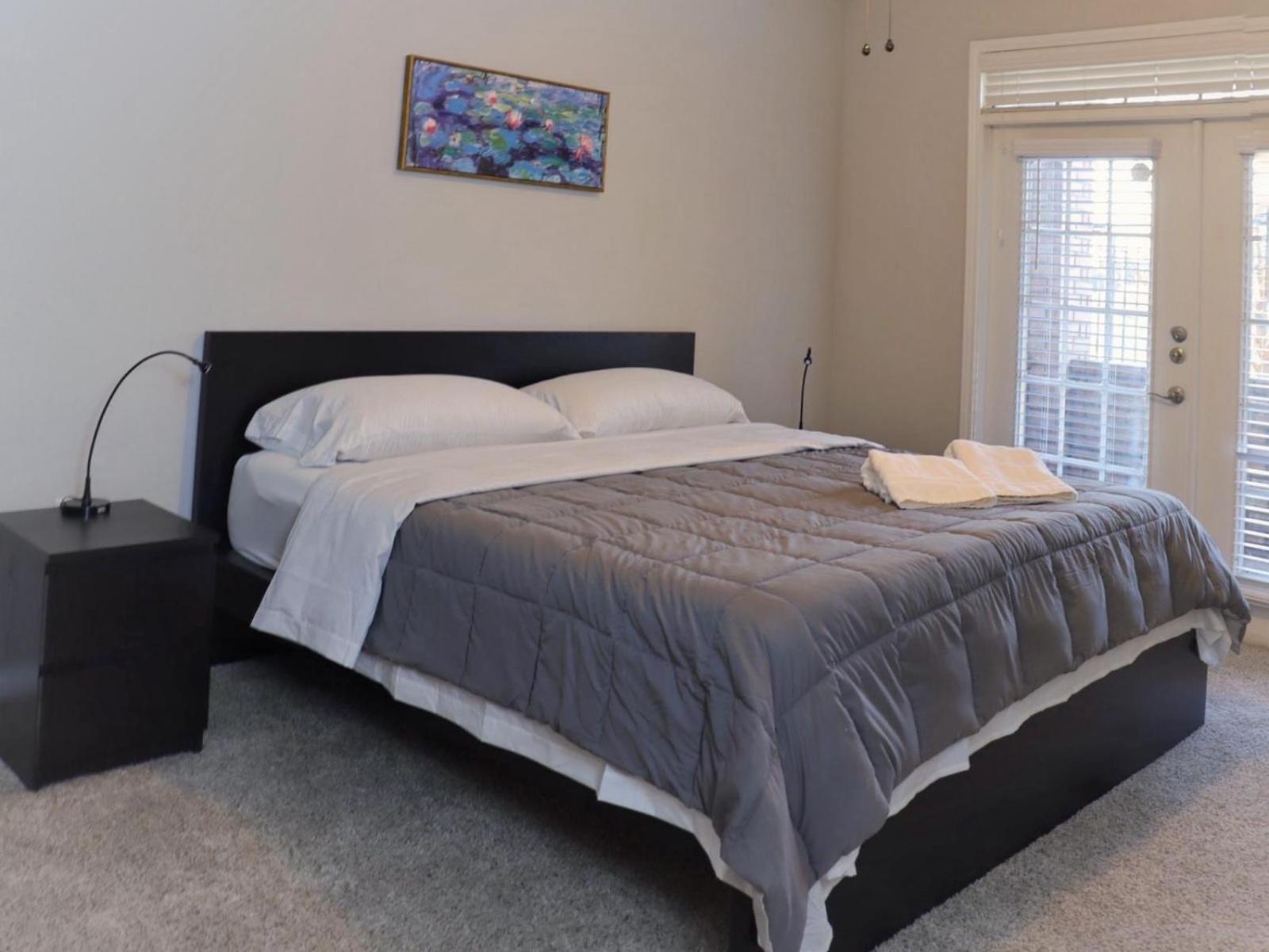 Apartment Md Anderson Tmc 2 Bed 2 Bath Entire Houston