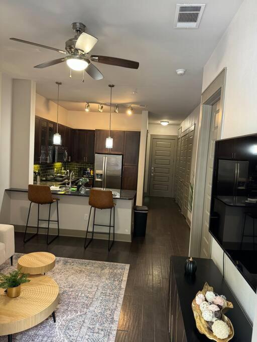 Luxury Downtown Apartment