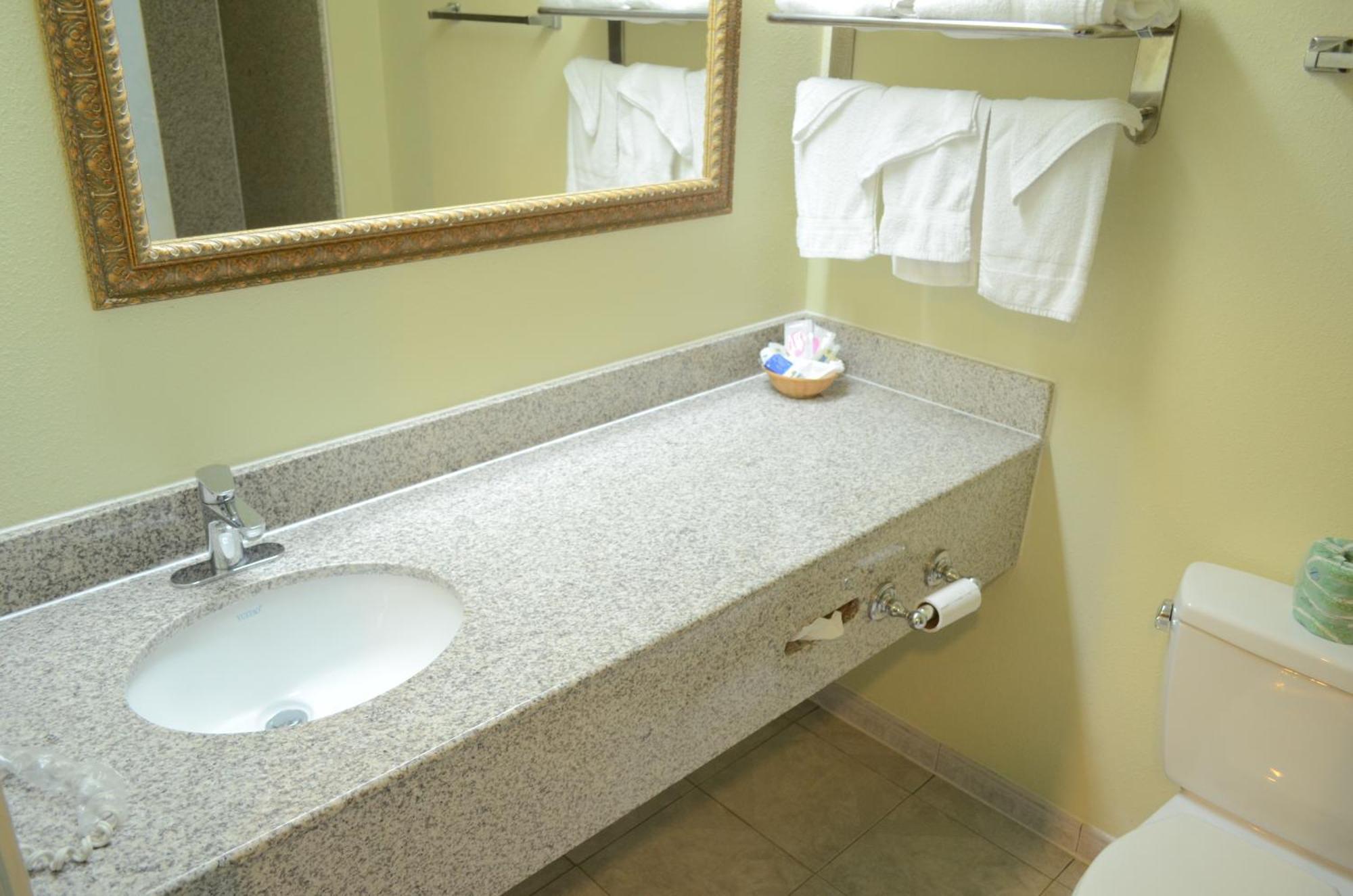 Motel Scottish And Nrg Park/texas Medical Center - Houston