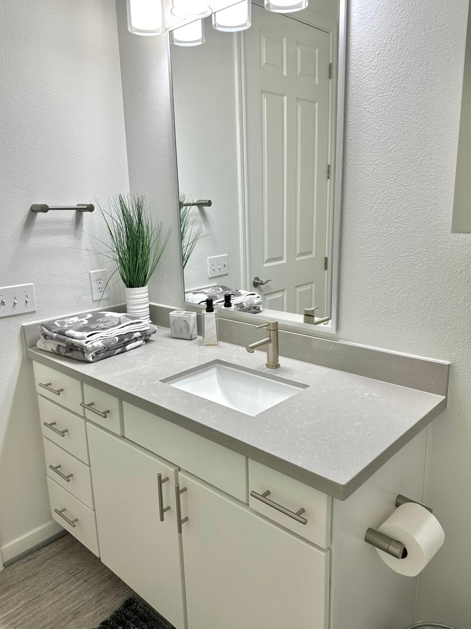 Downtown Dazzle 2 Bedroom Houston