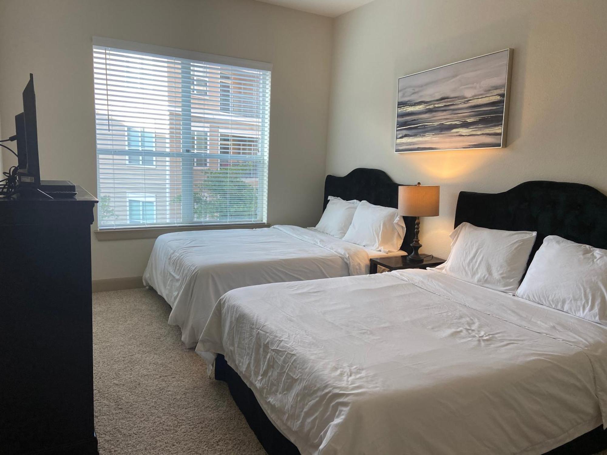 Gorgeous Furnished Near Texas Medical Center & Nrg Stadium