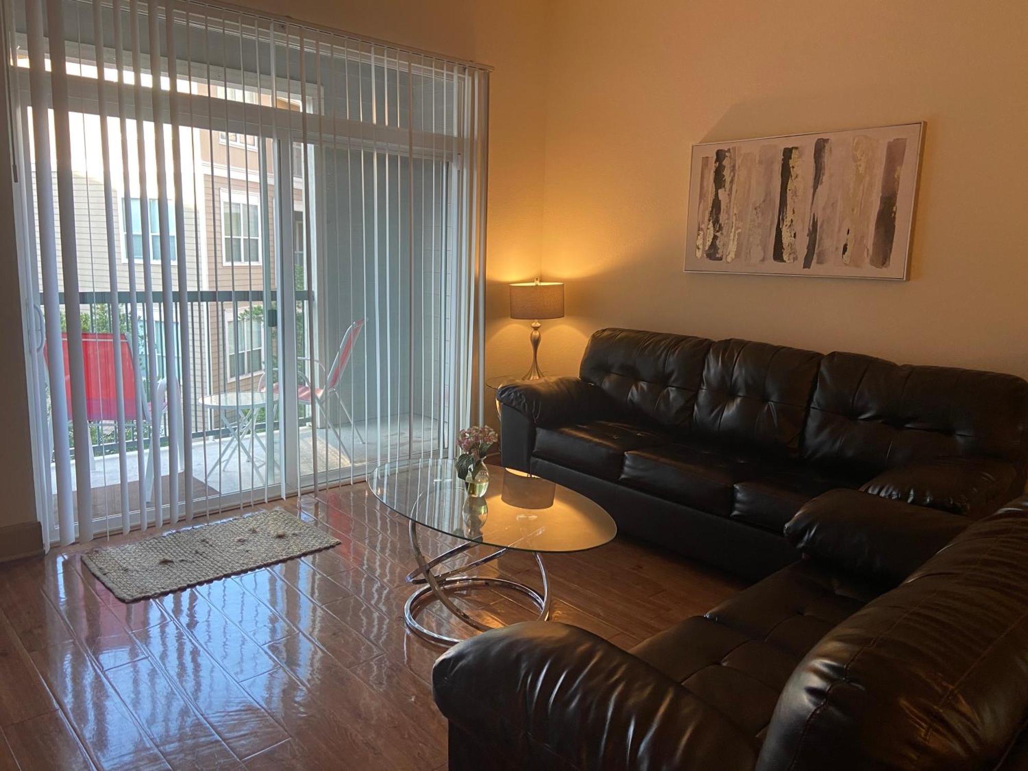 Gorgeous Furnished Near Texas Medical Center & Nrg Stadium Apartment *