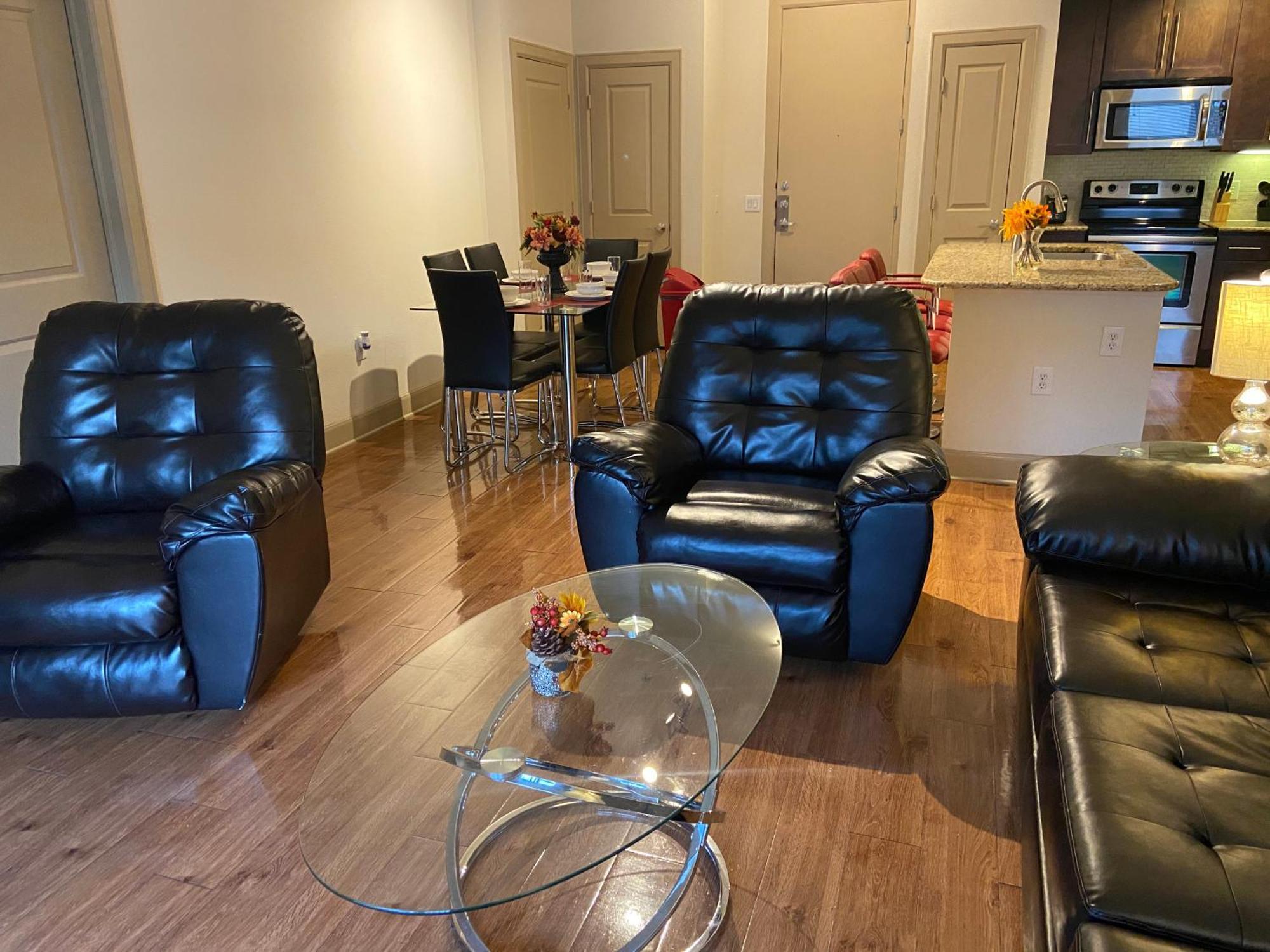 Apartment Gorgeous Furnished Near Texas Medical Center & Nrg Stadium Houston