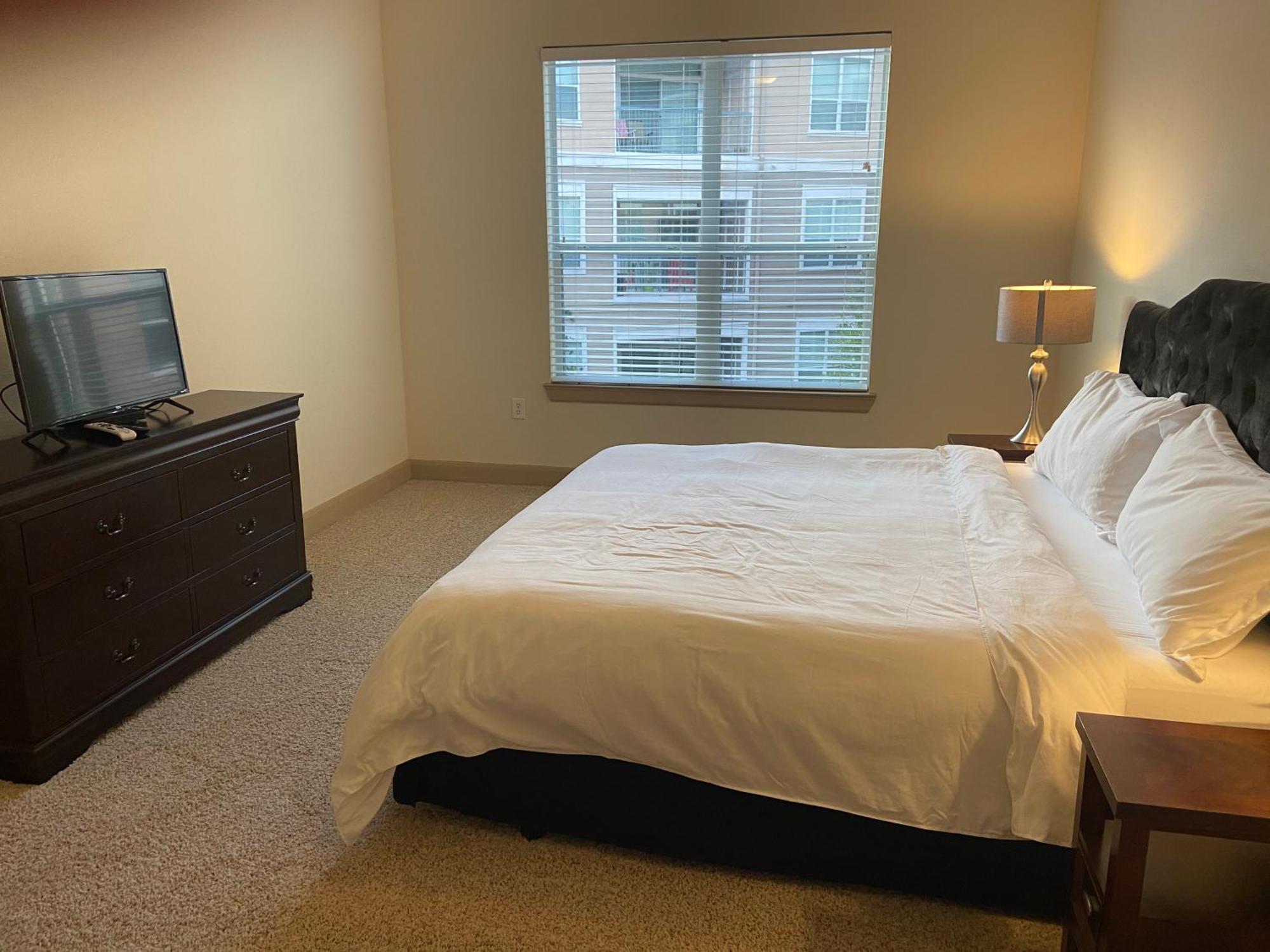 Gorgeous Furnished Near Texas Medical Center & Nrg Stadium Houston