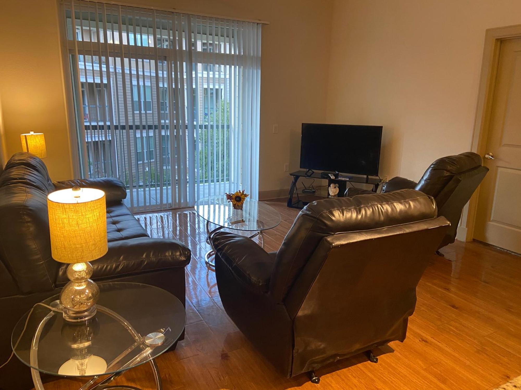 Gorgeous Furnished Near Texas Medical Center & Nrg Stadium Apartment