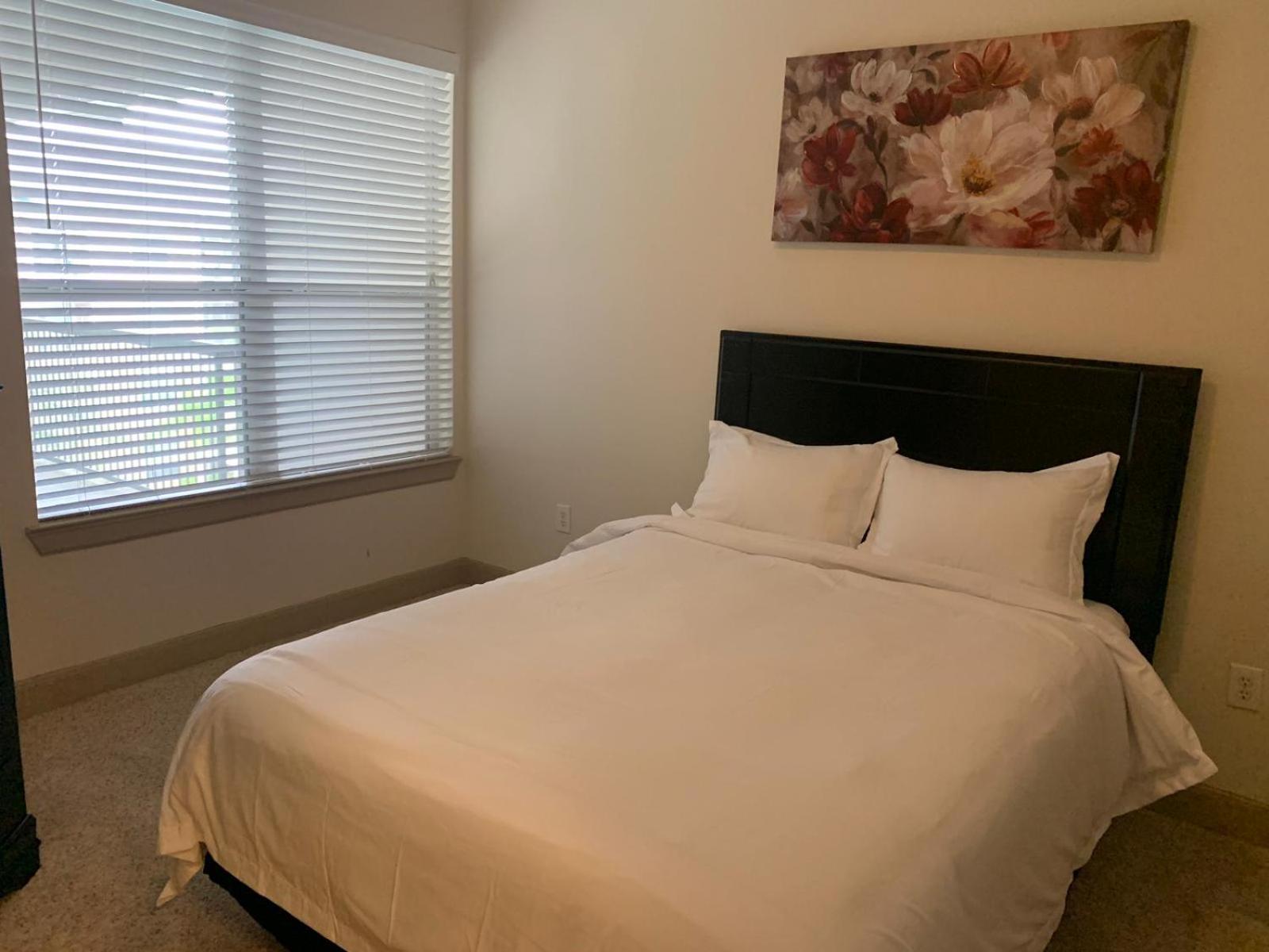Apartment Gorgeous Furnished Near Texas Medical Center & Nrg Stadium Houston