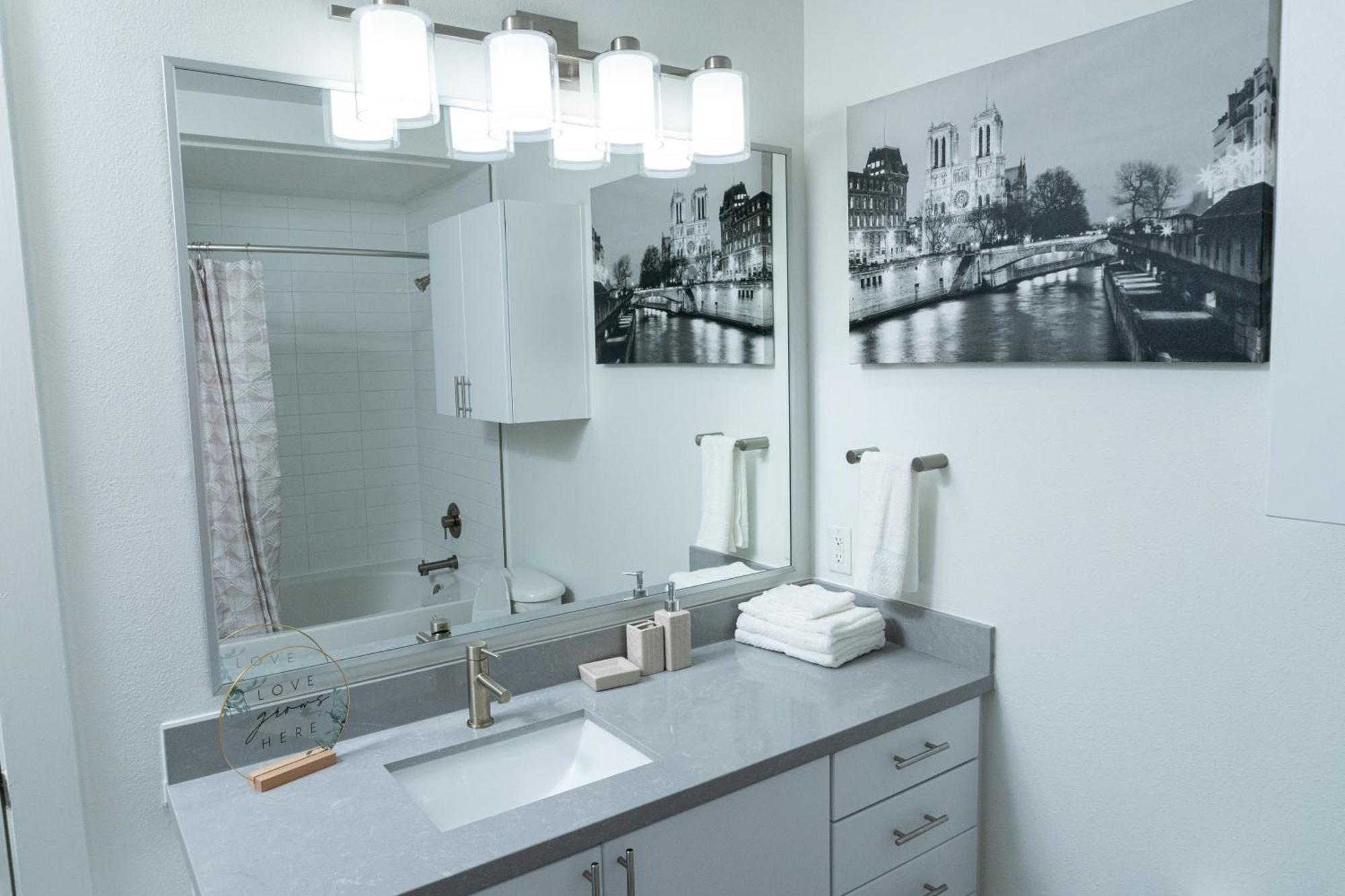 Luxurious One Bedroom One Bath Midtown