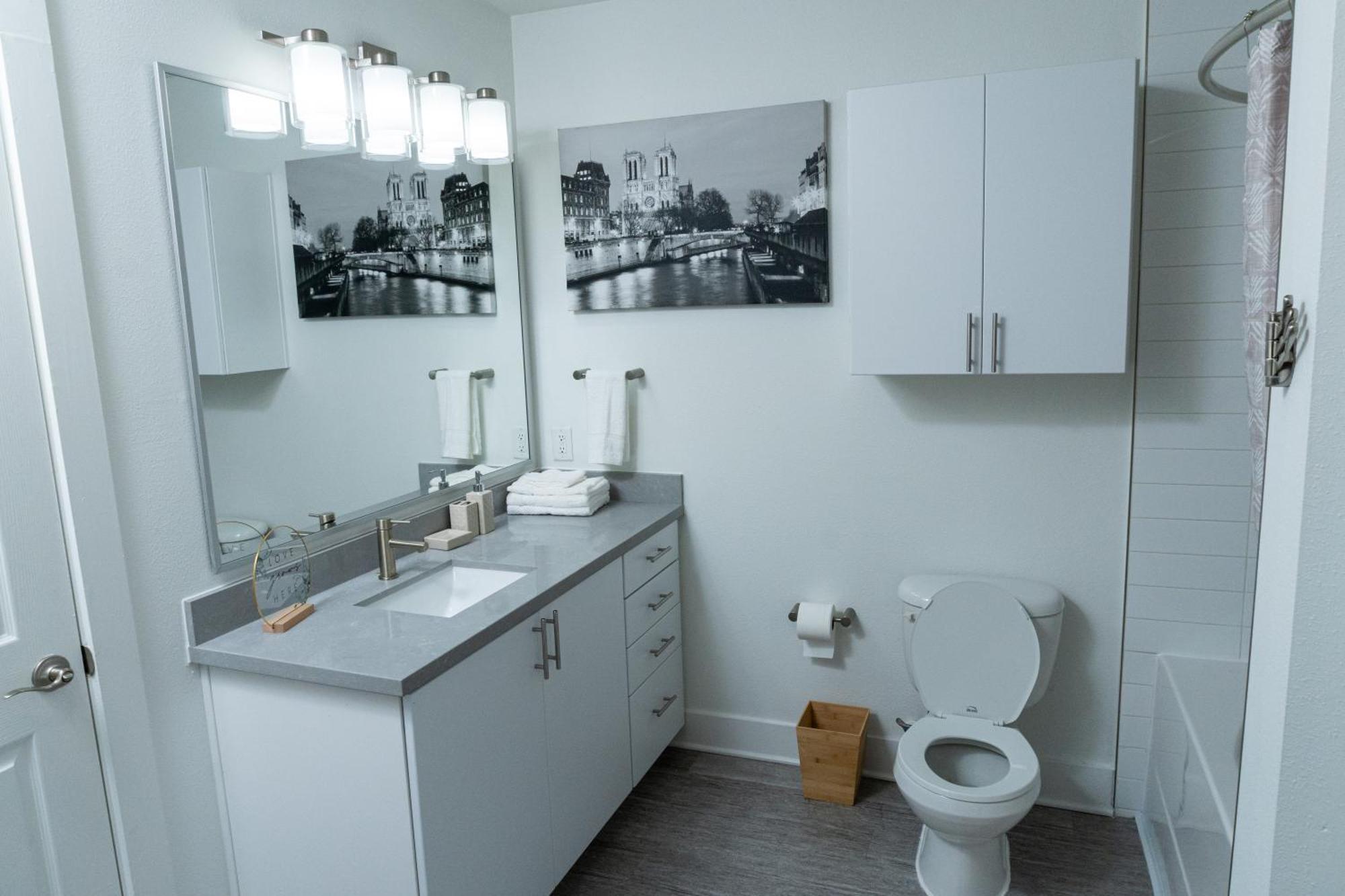 Luxurious One Bedroom One Bath Midtown