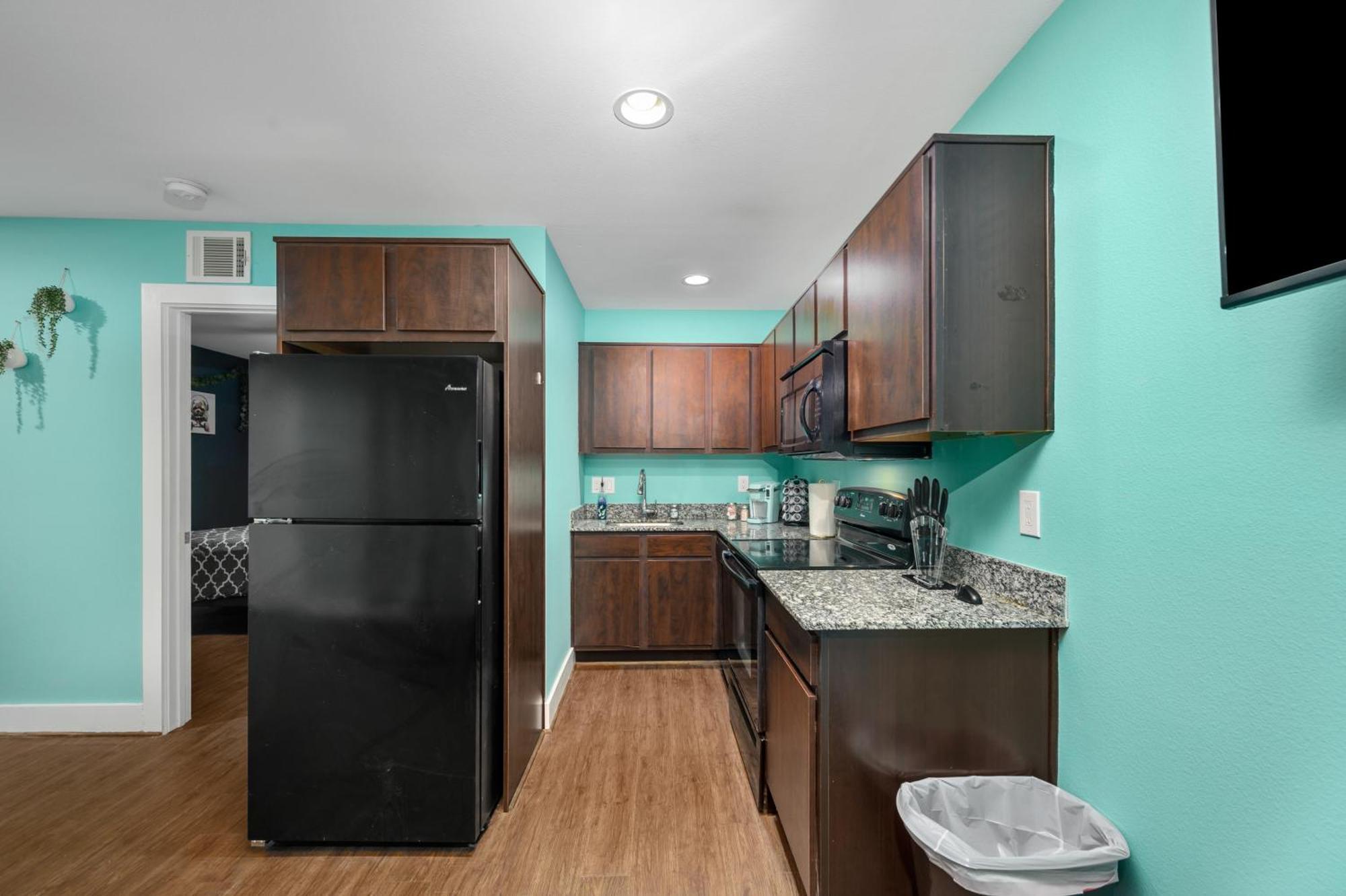 1br With Free Parking Near Med Center & Nrg Stadium Apartment *