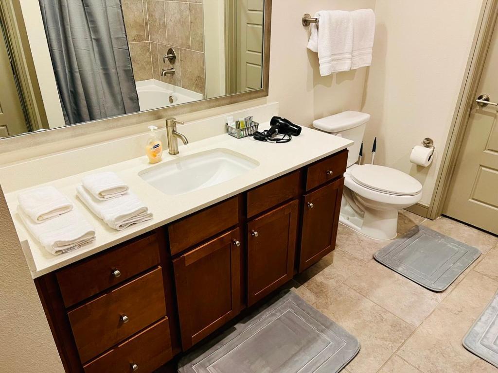 Apartment Downtown Apart 1 Bed 1 Bath Free Parking Houston