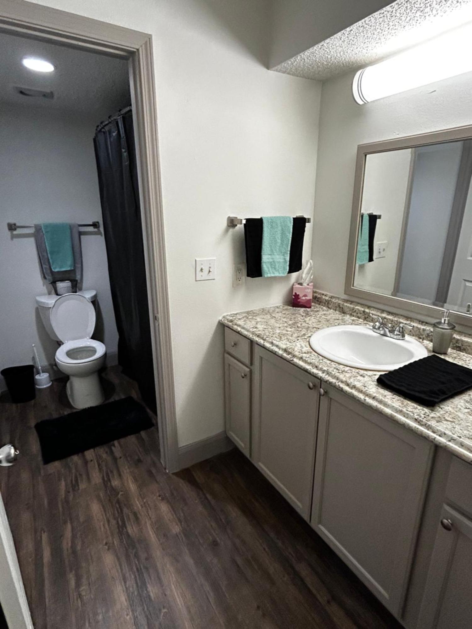 Apartment Posh Entire Unit At Nrg & Tmc