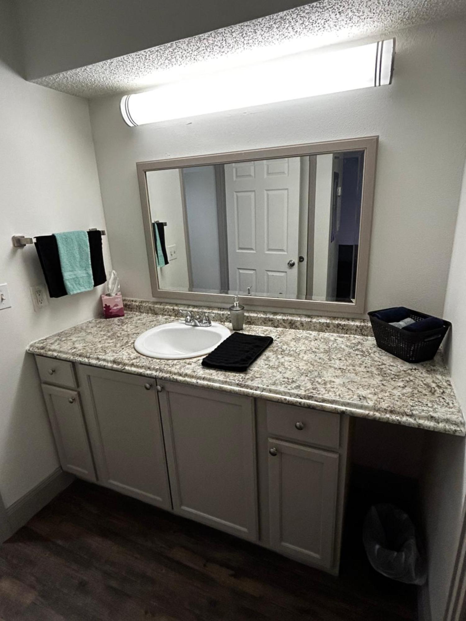 Posh Entire Unit At Nrg & Tmc Apartment