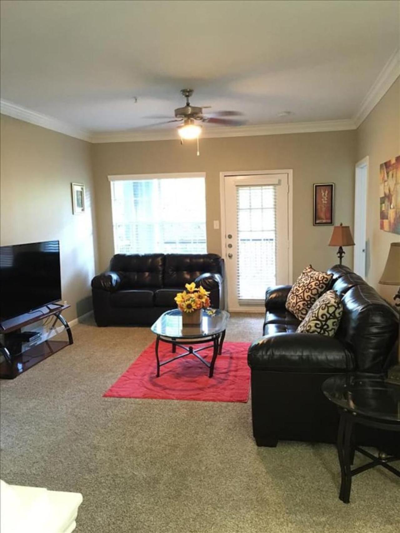 Style Apt/home In Medical Centre Apartment Houston