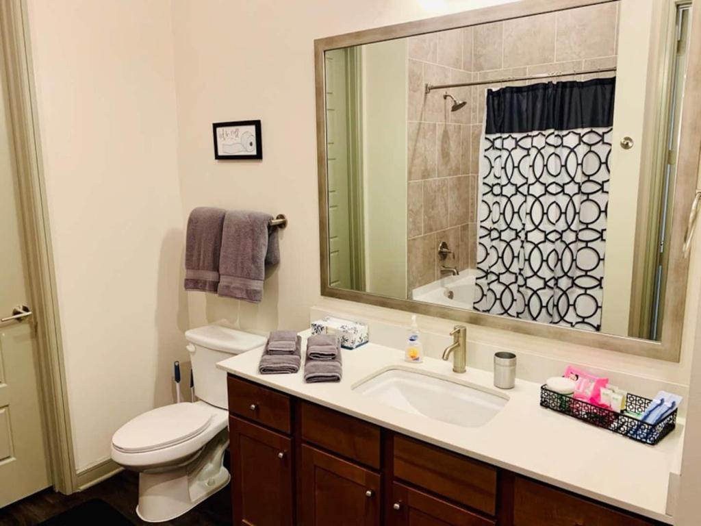 Downtown Free Parking - Pool - Gym - Fully Kitchen * Houston