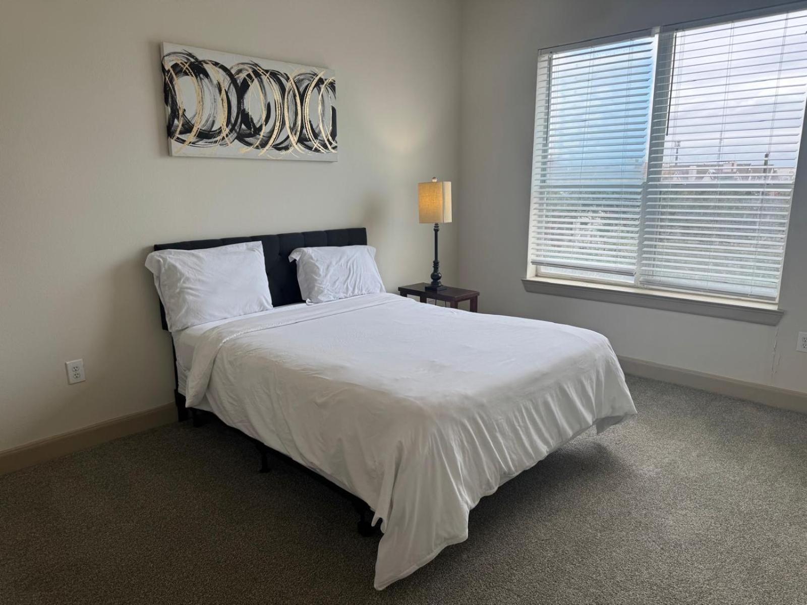 Apartment Gorgeous Furnished Near Texas Medical Center & Nrg Stadium *