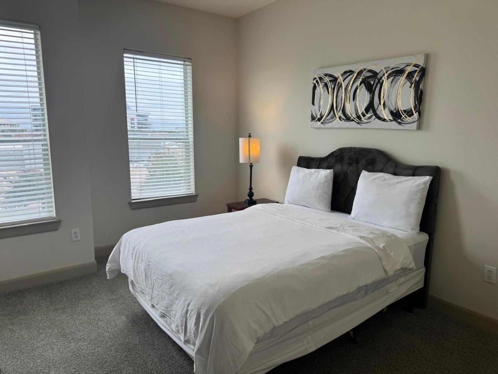Gorgeous Furnished Near Texas Medical Center & Nrg Stadium Houston