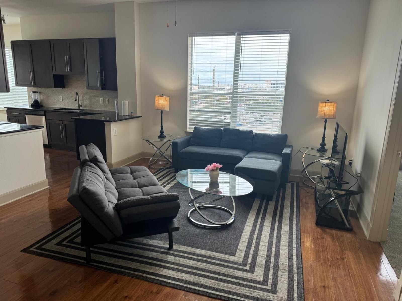 Gorgeous Furnished Near Texas Medical Center & Nrg Stadium * Houston