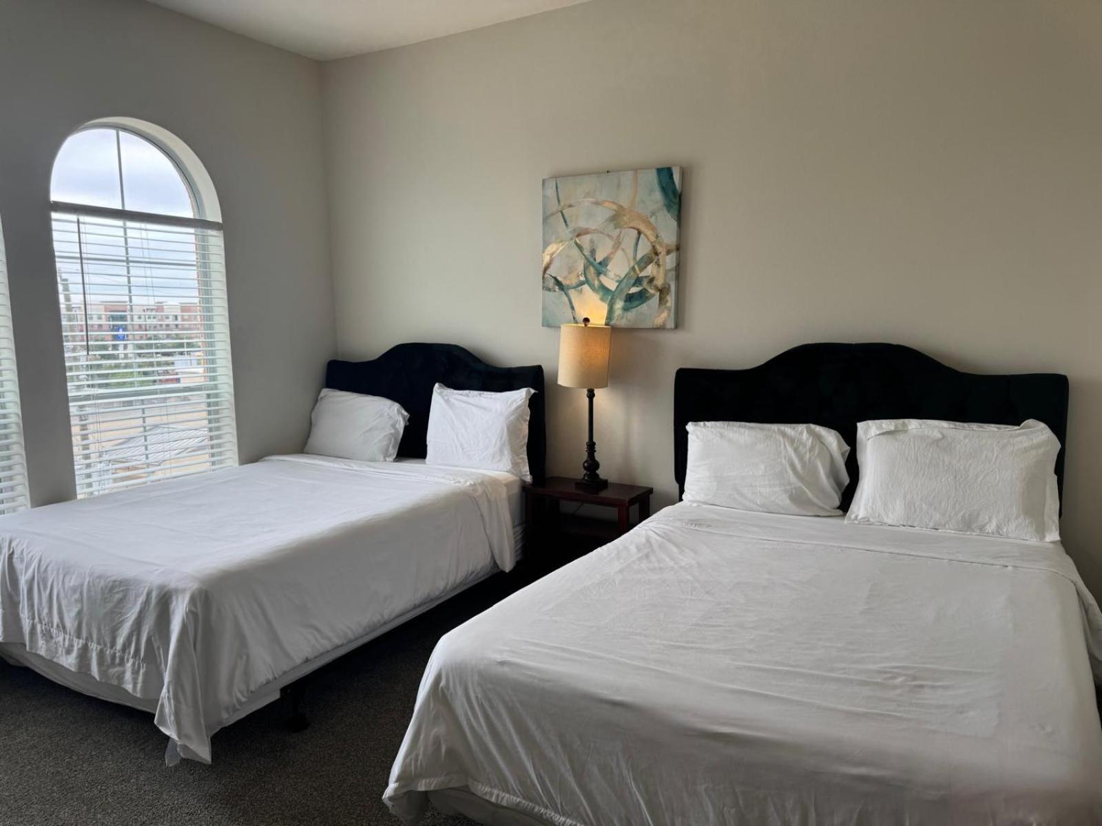 Gorgeous Furnished Near Texas Medical Center & Nrg Stadium Apartment