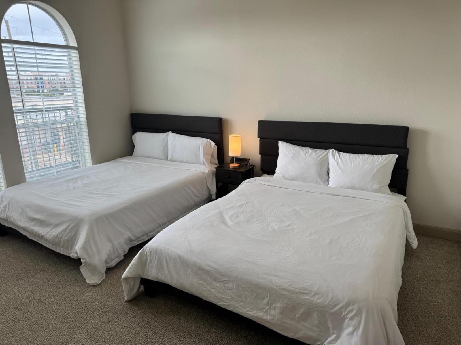 Apartment Gorgeous Furnished Near Texas Medical Center & Nrg Stadium Houston