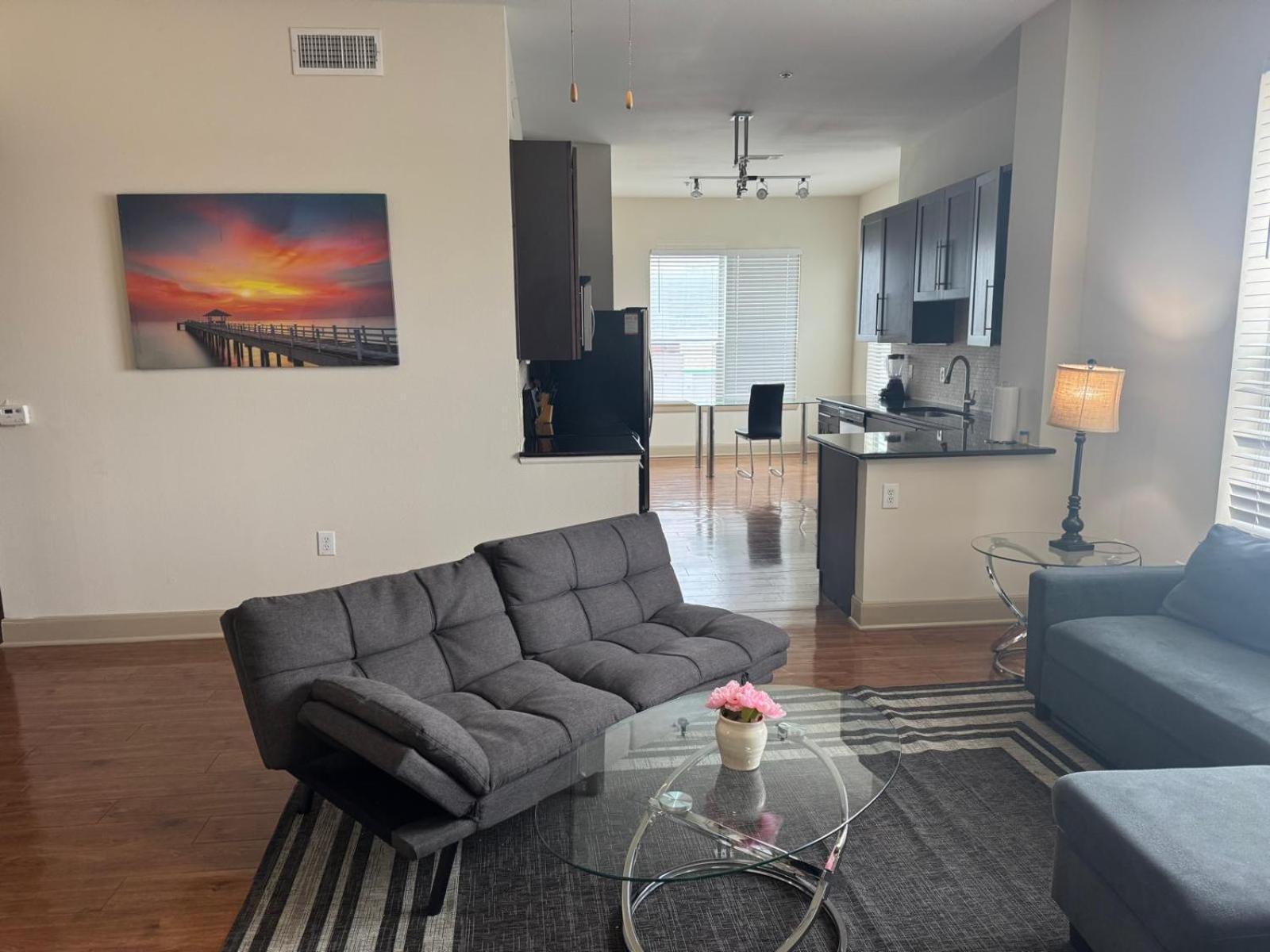 Gorgeous Furnished Near Texas Medical Center & Nrg Stadium *