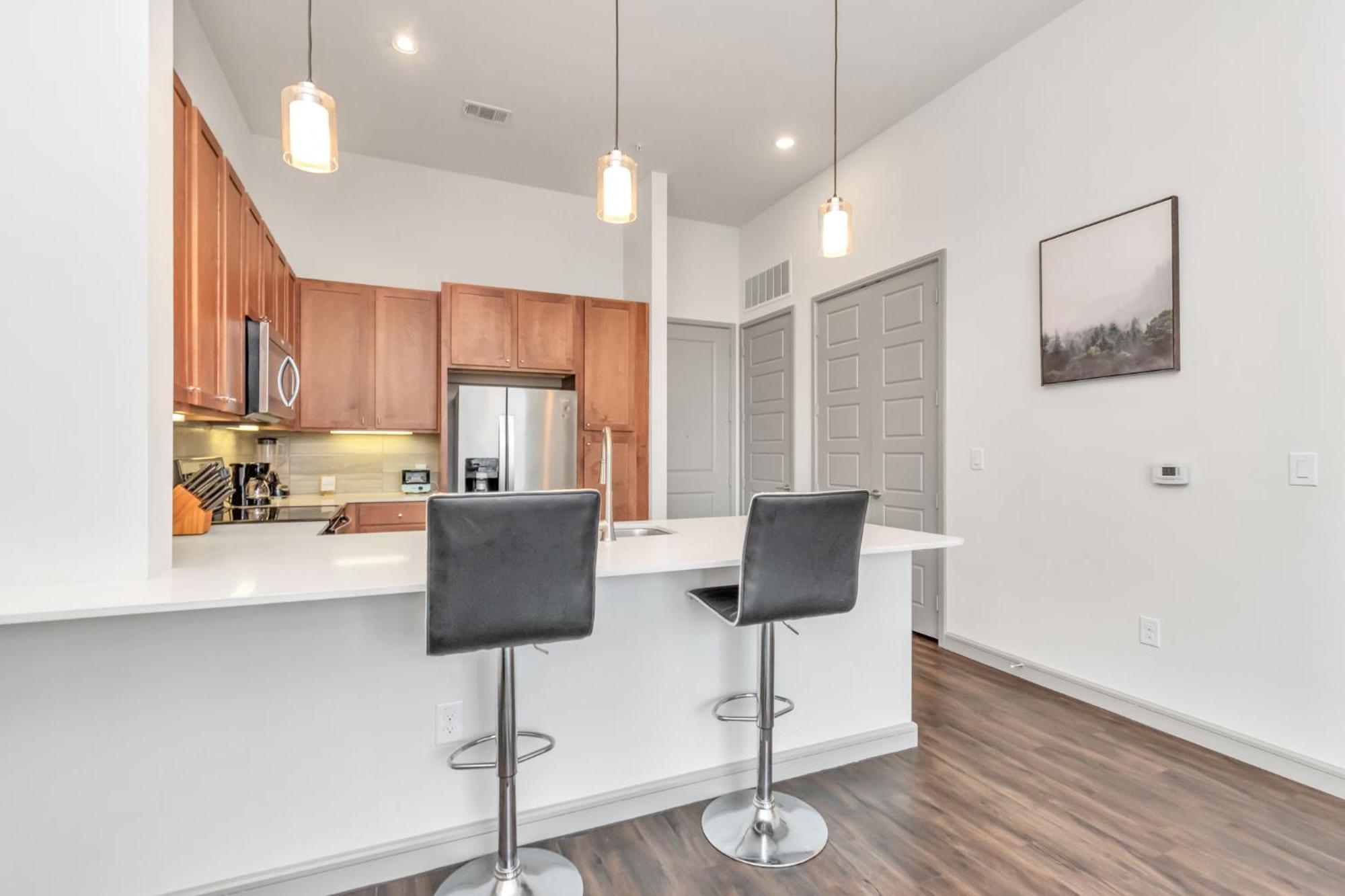 U5 Penthouse Dow Town Apartment Houston