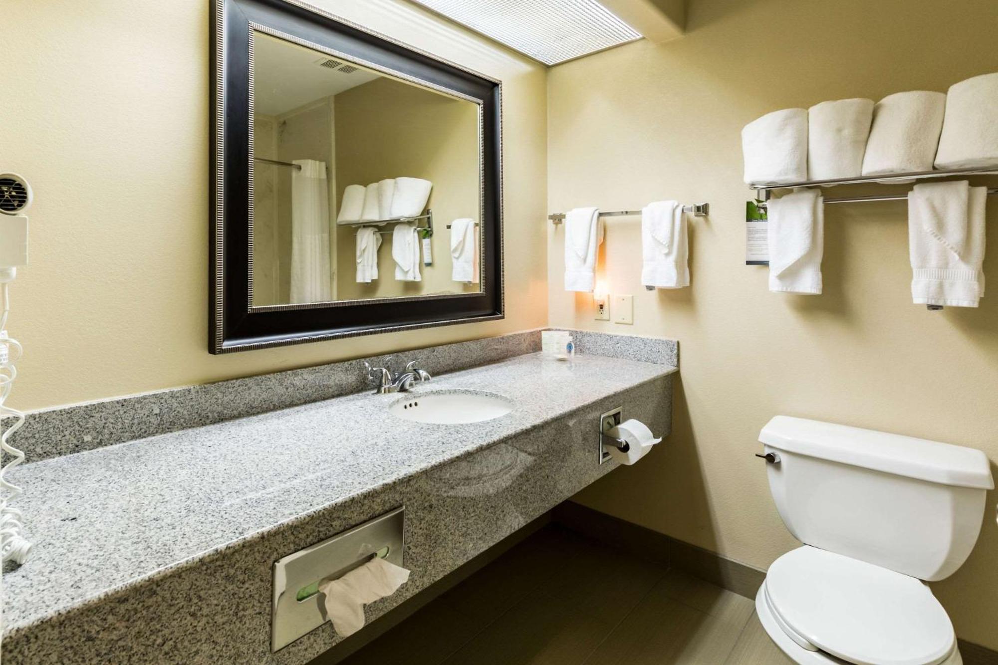 Hotel Comfort Westchase Energy Corridor Houston
