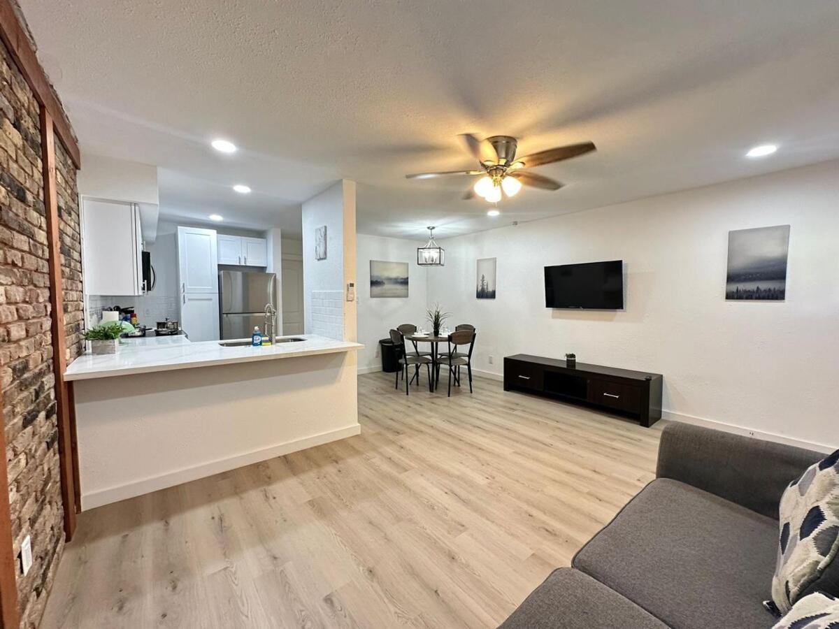 Modern Oasis Awaits In Trendy Montrose District Apartment Houston