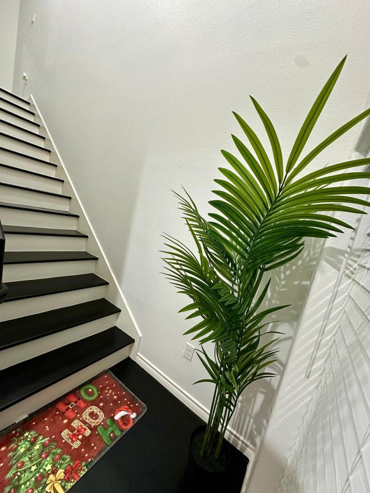 Emerald Homes Luxury - A Nrg, Med Center Houston